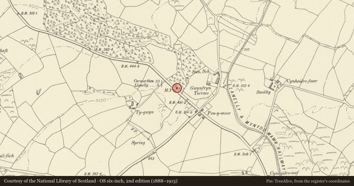 Ordnance Survey six-inch map, 2nd edition (1888–1913) covering the location of Milepost at Cynheidre, Llanelli Rural, Carmarthenshire, with a pin at the register's coordinates
