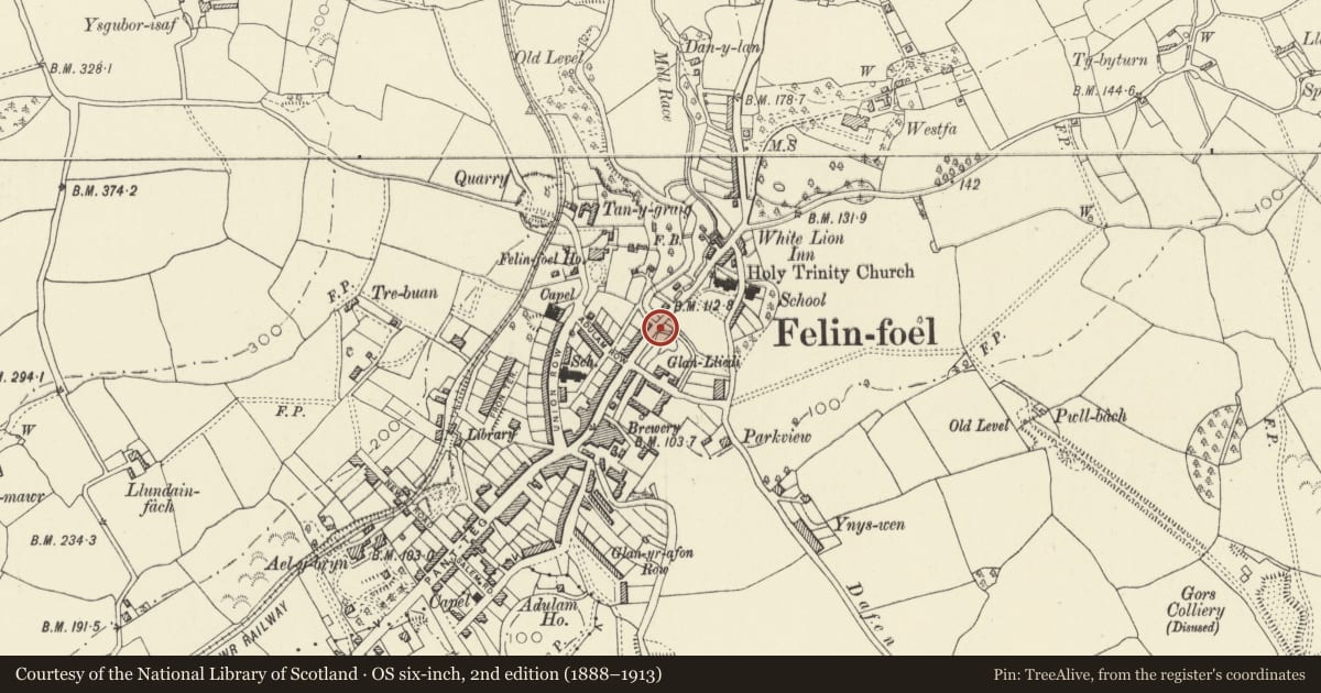 Ordnance Survey six-inch map, 2nd edition (1888–1913) covering the location of Baptistery at Pont Adulam, Llanelli Rural, Carmarthenshire, with a pin at the register's coordinates