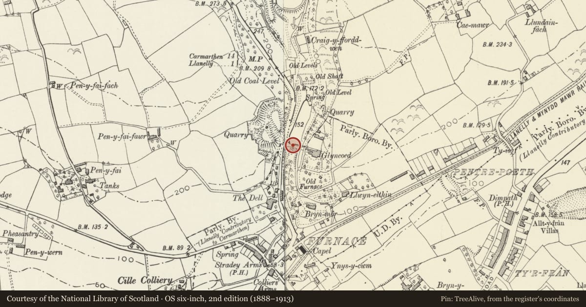 Ordnance Survey six-inch map, 2nd edition (1888–1913) covering the location of Dam above the Raby Furnace, Llanelli Rural, Carmarthenshire, with a pin at the register's coordinates