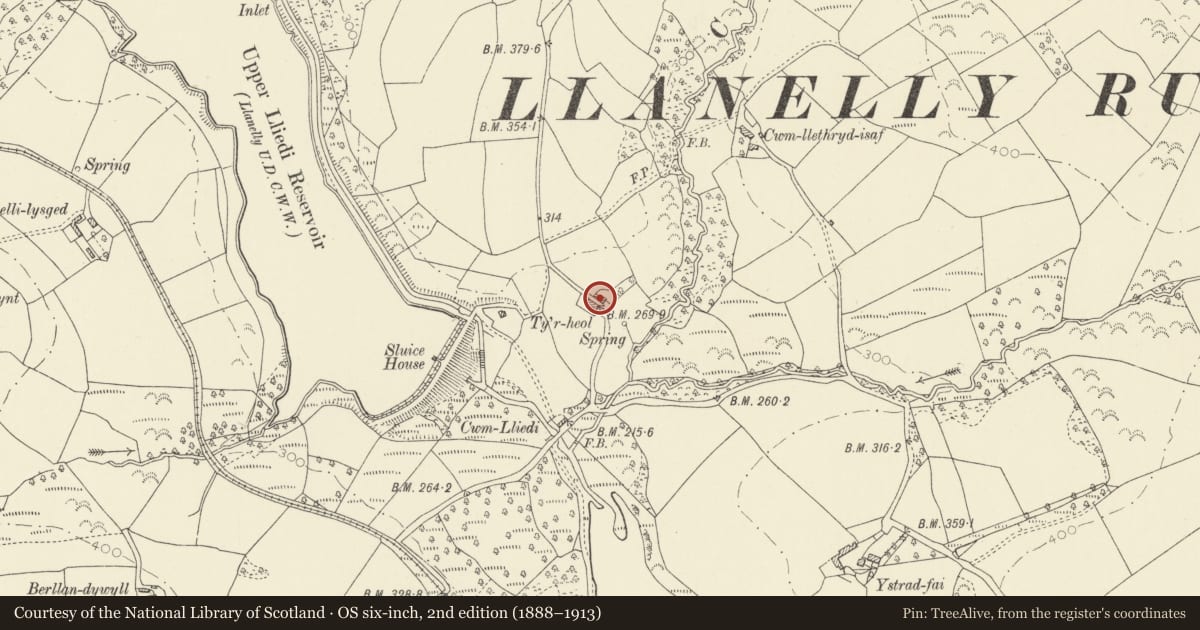 Ordnance Survey six-inch map, 2nd edition (1888–1913) covering the location of Ty'r Heol Farm, Llanelli Rural, Carmarthenshire, with a pin at the register's coordinates
