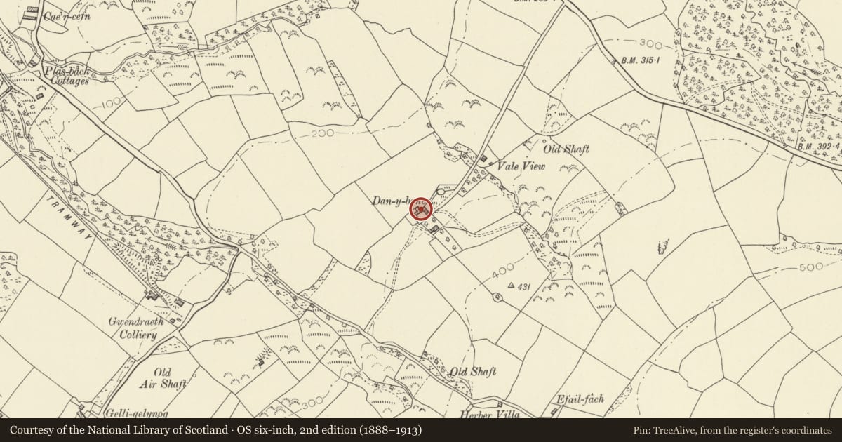 Ordnance Survey six-inch map, 2nd edition (1888–1913) covering the location of Dan y Banc Farm Buildings, Llanelli Rural, Carmarthenshire, with a pin at the register's coordinates