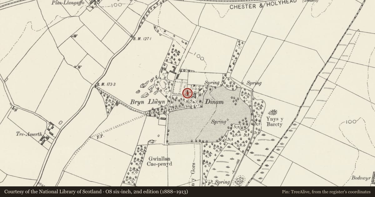Ordnance Survey six-inch map, 2nd edition (1888–1913) covering the location of Stables and granary at Dinam, Rhosyr, Isle of Anglesey, with a pin at the register's coordinates