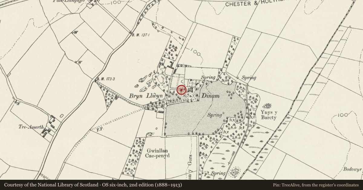 Ordnance Survey six-inch map, 2nd edition (1888–1913) covering the location of Potato store at Dinam, Rhosyr, Isle of Anglesey, with a pin at the register's coordinates
