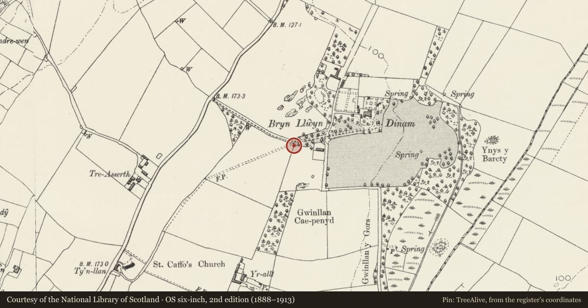 Ordnance Survey six-inch map, 2nd edition (1888–1913) covering the location of Gateway in field wall of Dinam, Rhosyr, Isle of Anglesey, with a pin at the register's coordinates
