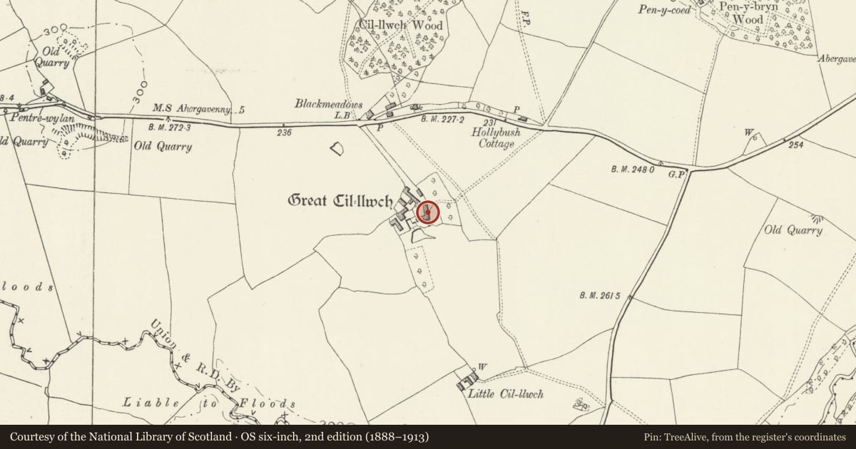 Ordnance Survey six-inch map, 2nd edition (1888–1913) covering the location of Great Killough, Whitecastle, Monmouthshire, with a pin at the register's coordinates