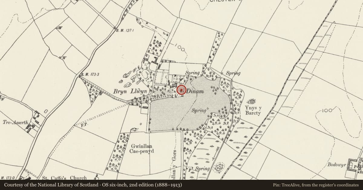 Ordnance Survey six-inch map, 2nd edition (1888–1913) covering the location of The former stables of Dinam, Rhosyr, Isle of Anglesey, with a pin at the register's coordinates