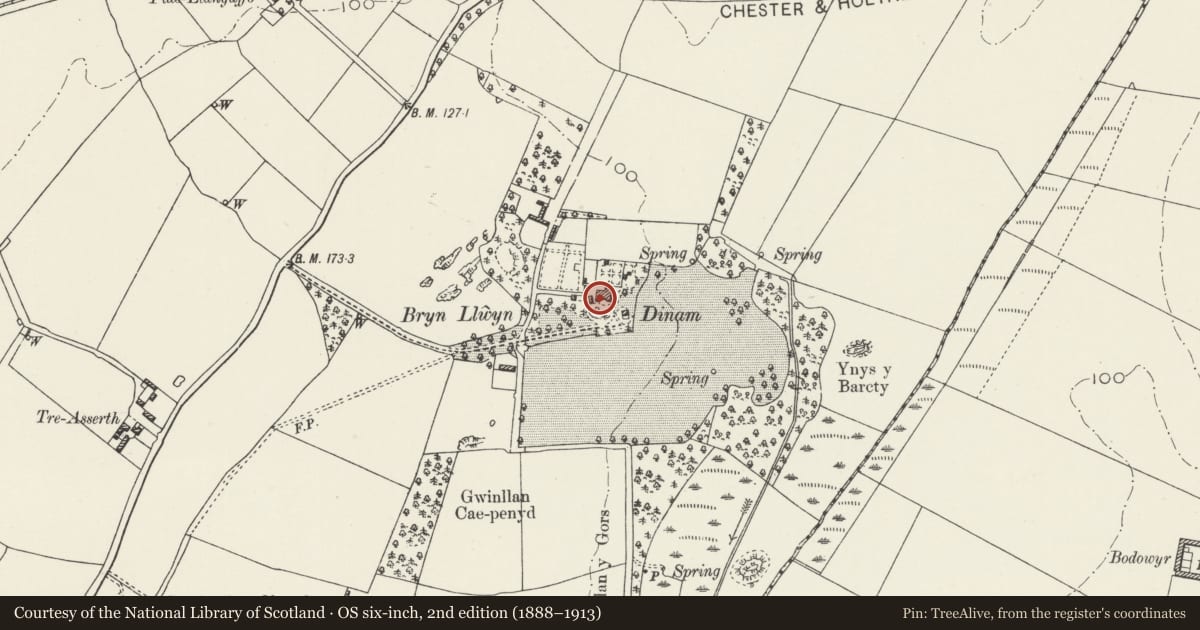 Ordnance Survey six-inch map, 2nd edition (1888–1913) covering the location of Dovecote at Dinam, Rhosyr, Isle of Anglesey, with a pin at the register's coordinates