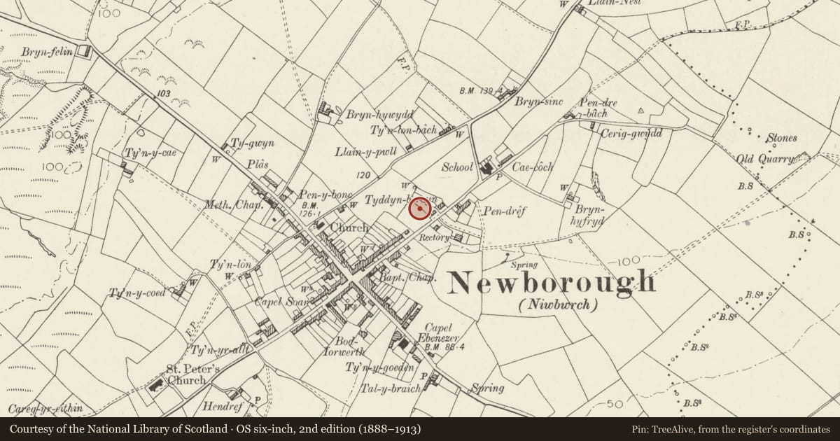 Ordnance Survey six-inch map, 2nd edition (1888–1913) covering the location of Prichard Jones Institute Cottage Home, Rhosyr, Isle of Anglesey, with a pin at the register's coordinates