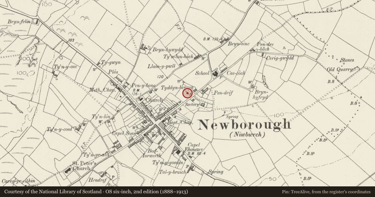 Ordnance Survey six-inch map, 2nd edition (1888–1913) covering the location of Prichard Jones Institute Cottage Home, Rhosyr, Isle of Anglesey, with a pin at the register's coordinates