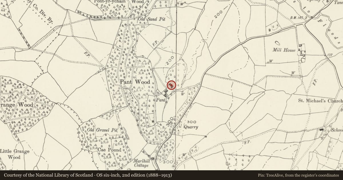 Ordnance Survey six-inch map, 2nd edition (1888–1913) covering the location of The Pant including attached former Quaker Meeting House, Whitecastle, Monmouthshire, with a pin at the register's coordinates