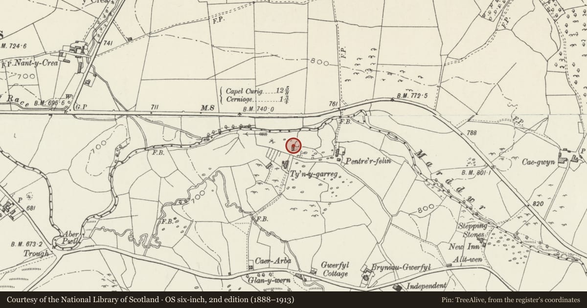 Ordnance Survey six-inch map, 2nd edition (1888–1913) covering the location of Castell, Pentrefoelas, Conwy, with a pin at the register's coordinates