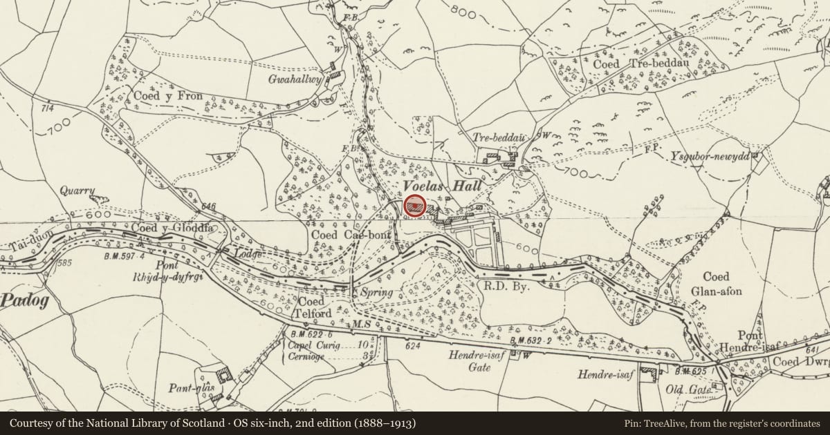Ordnance Survey six-inch map, 2nd edition (1888–1913) covering the location of Voelas, Pentrefoelas, Conwy, with a pin at the register's coordinates
