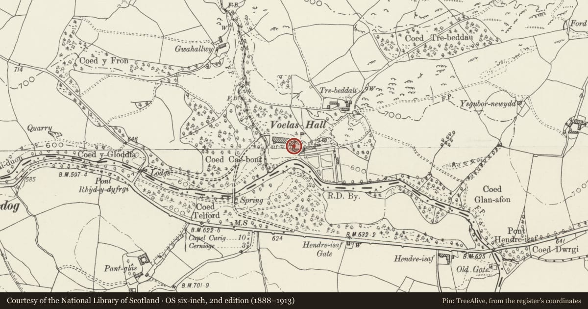 Ordnance Survey six-inch map, 2nd edition (1888–1913) covering the location of Laundry, stable and bothy at Voelas, Pentrefoelas, Conwy, with a pin at the register's coordinates