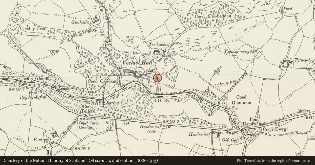 Ordnance Survey six-inch map, 2nd edition (1888–1913) covering the location of Garden walls, terraces, potting shed and peach house at Voelas, Pentrefoelas, Conwy, with a pin at the register's coordinates