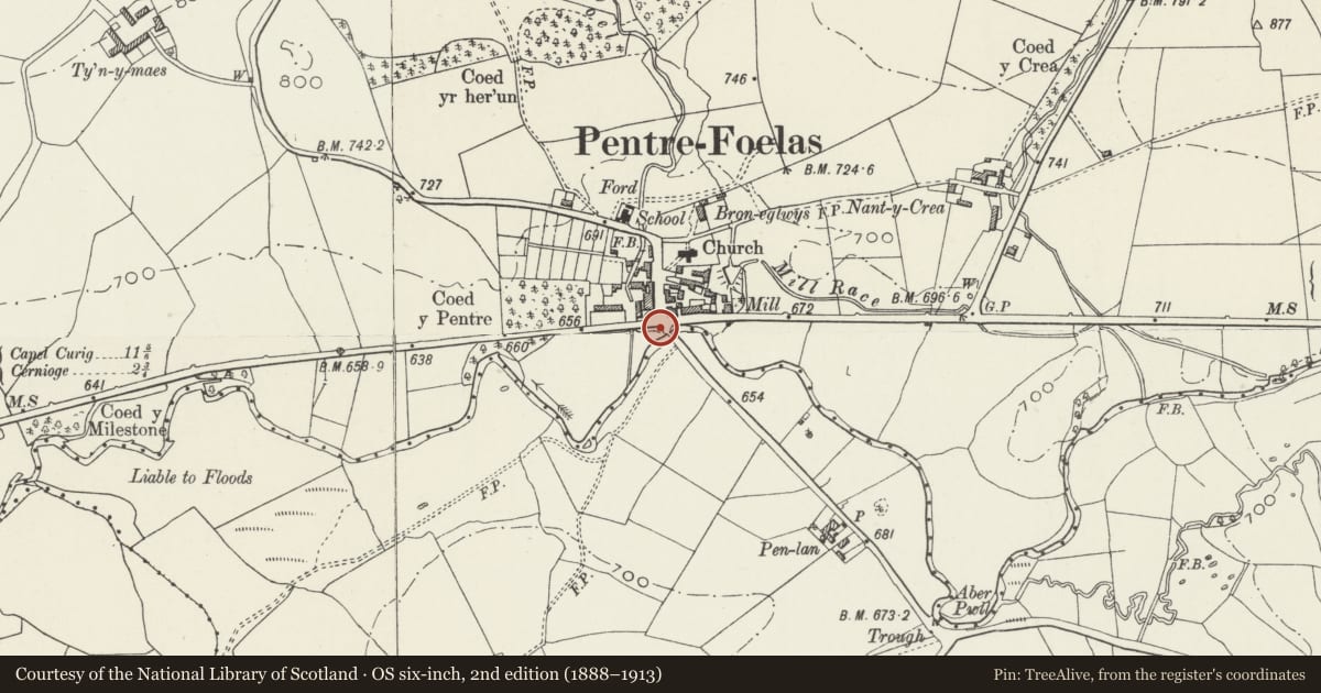 Ordnance Survey six-inch map, 2nd edition (1888–1913) covering the location of Wynne-Finch Memorial, Pentrefoelas, Conwy, with a pin at the register's coordinates