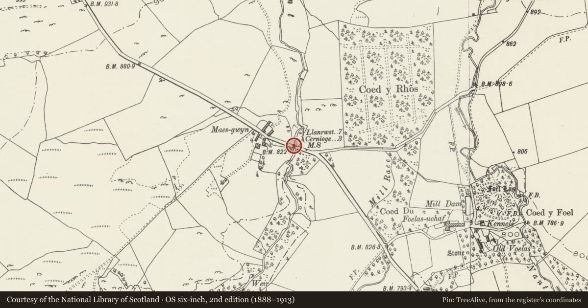 Ordnance Survey six-inch map, 2nd edition (1888–1913) covering the location of Bridge SE of Maes-gwyn farm, Pentrefoelas, Conwy, with a pin at the register's coordinates