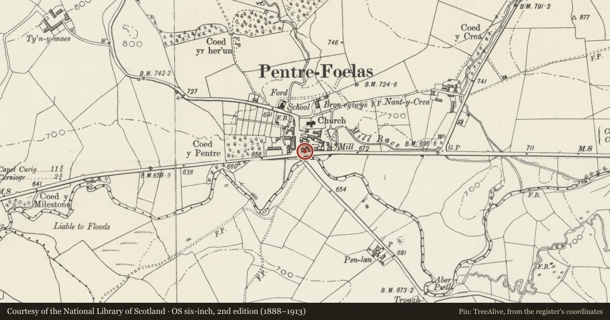 Ordnance Survey six-inch map, 2nd edition (1888–1913) covering the location of 2 Nebo Road, Pentrefoelas, Conwy, with a pin at the register's coordinates