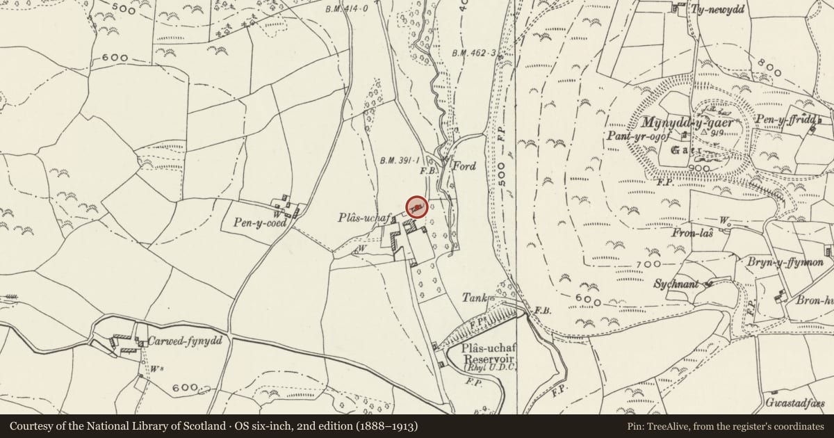 Ordnance Survey six-inch map, 2nd edition (1888–1913) covering the location of Former Stable Block at Plas Uchaf, Llannefydd, Conwy, with a pin at the register's coordinates