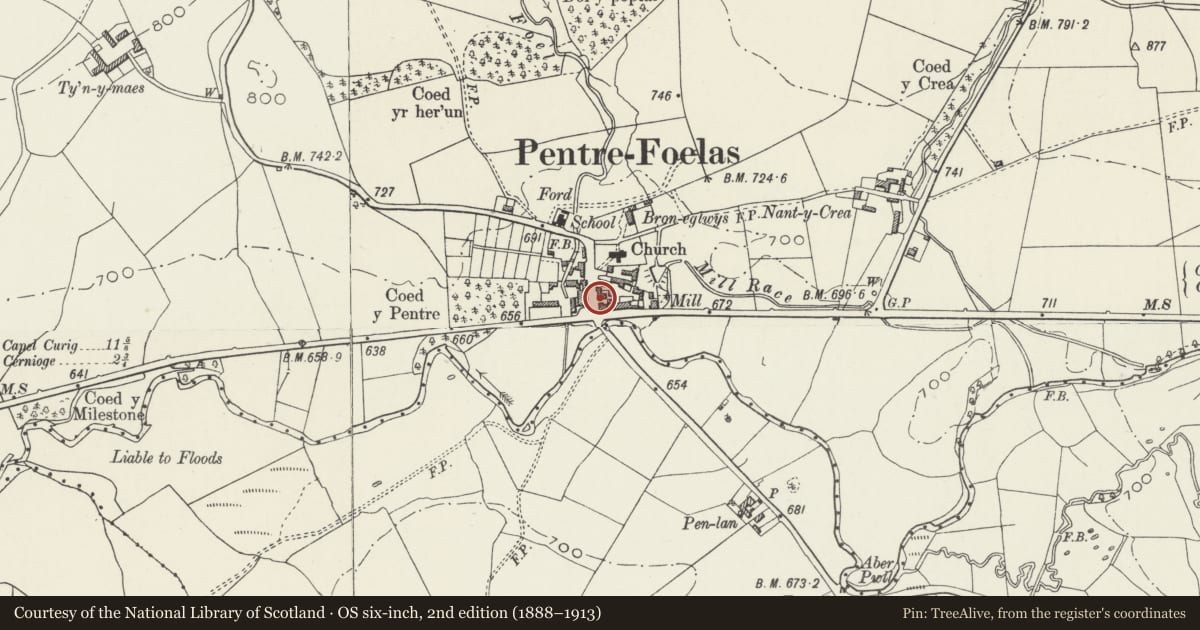 Ordnance Survey six-inch map, 2nd edition (1888–1913) covering the location of Dolywen, Pentrefoelas, Conwy, with a pin at the register's coordinates