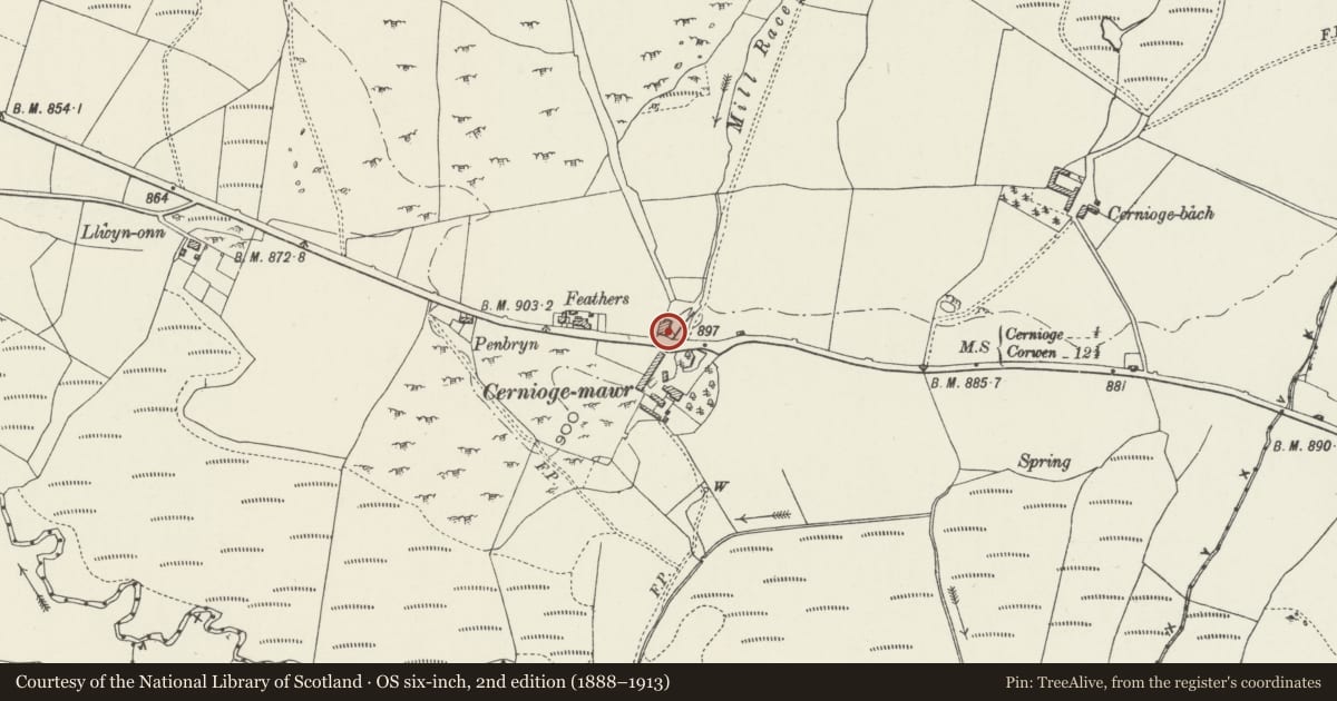 Ordnance Survey six-inch map, 2nd edition (1888–1913) covering the location of Stable building at Cernioge, Pentrefoelas, Conwy, with a pin at the register's coordinates