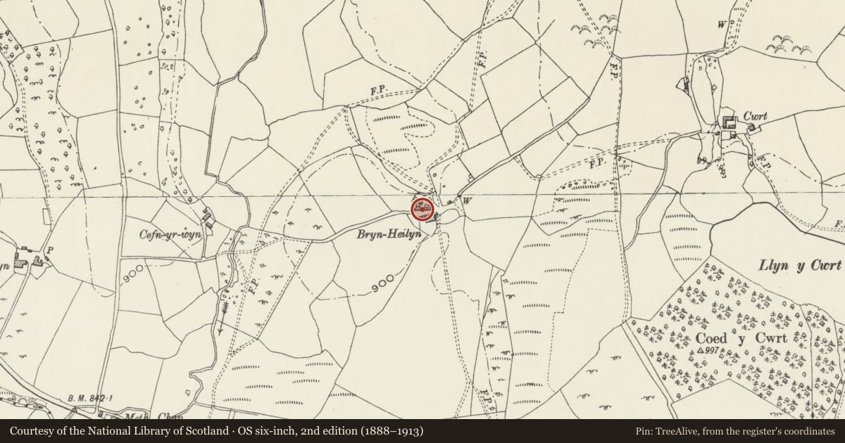 Ordnance Survey six-inch map, 2nd edition (1888–1913) covering the location of Bryn-heilyn, Pentrefoelas, Conwy, with a pin at the register's coordinates