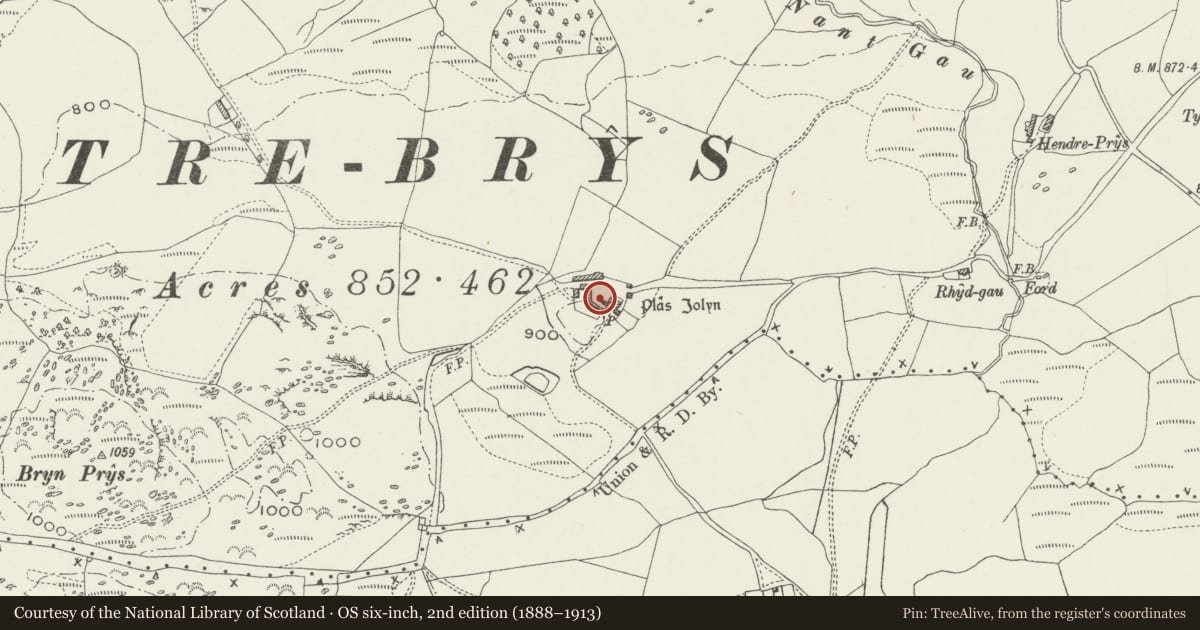 Ordnance Survey six-inch map, 2nd edition (1888–1913) covering the location of Animal house and attached yard at Plas Iolyn, Pentrefoelas, Conwy, with a pin at the register's coordinates