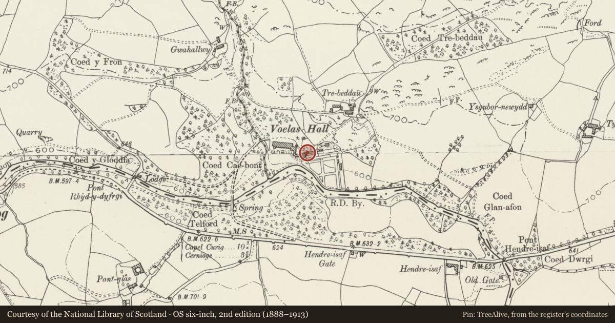 Ordnance Survey six-inch map, 2nd edition (1888–1913) covering the location of Carriage house at Voelas, Pentrefoelas, Conwy, with a pin at the register's coordinates