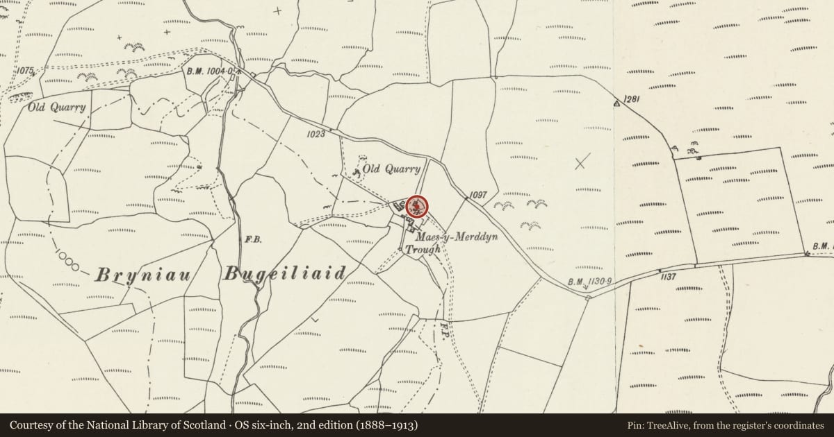 Ordnance Survey six-inch map, 2nd edition (1888–1913) covering the location of Nest boxes and bee boles at Maes Merddyn, Pentrefoelas, Conwy, with a pin at the register's coordinates