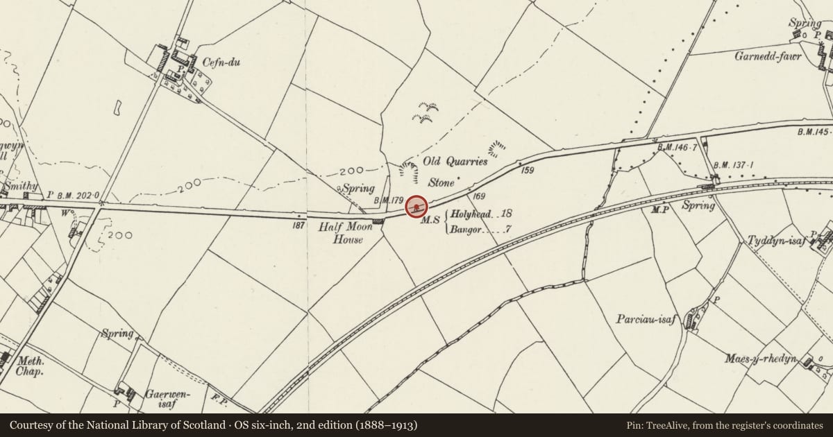 Ordnance Survey six-inch map, 2nd edition (1888–1913) covering the location of Telford Milestone (18), Llanfihangel Ysgeifiog, Isle of Anglesey, with a pin at the register's coordinates
