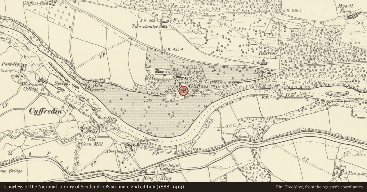 Ordnance Survey six-inch map, 2nd edition (1888–1913) covering the location of South Terrace at Gliffaes, Llanfihangel Cwmdu with Bwlch and Cathedine, Powys, with a pin at the register's coordinates