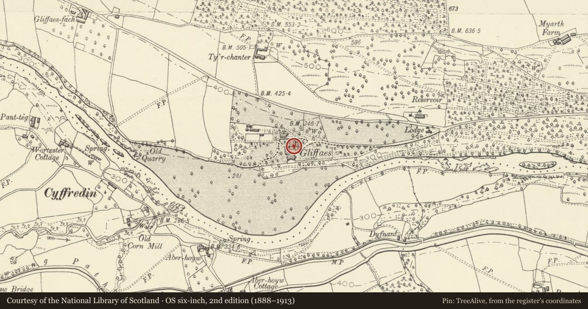 Ordnance Survey six-inch map, 2nd edition (1888–1913) covering the location of Dipping Pool and Steps at Gliffaes, Llanfihangel Cwmdu with Bwlch and Cathedine, Powys, with a pin at the register's coordinates