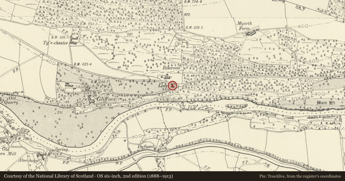 Ordnance Survey six-inch map, 2nd edition (1888–1913) covering the location of Gliffaes Lodge, Llanfihangel Cwmdu with Bwlch and Cathedine, Powys, with a pin at the register's coordinates