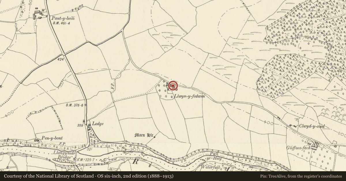 Ordnance Survey six-inch map, 2nd edition (1888–1913) covering the location of Llwynyfedwen farmhouse including attached Byre, Llanfihangel Cwmdu with Bwlch and Cathedine, Powys, with a pin at the register's coordinates