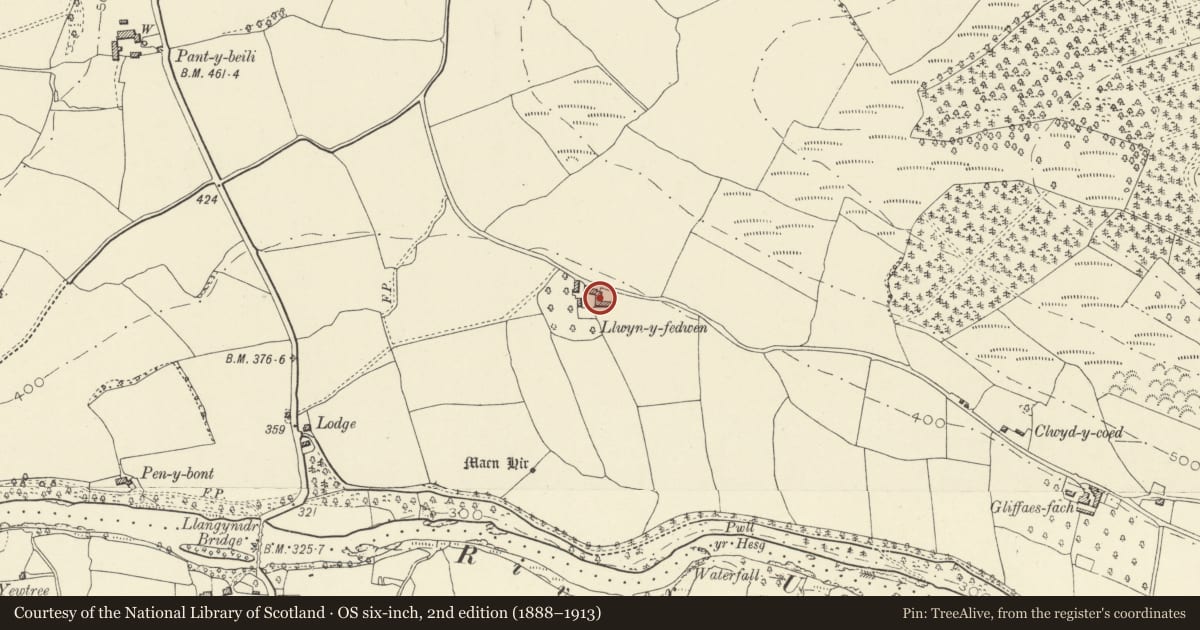 Ordnance Survey six-inch map, 2nd edition (1888–1913) covering the location of Barn at Llwynyfedwen, Llanfihangel Cwmdu with Bwlch and Cathedine, Powys, with a pin at the register's coordinates
