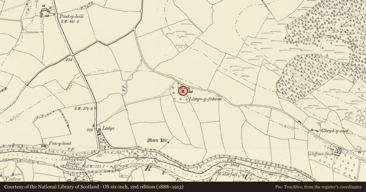 Ordnance Survey six-inch map, 2nd edition (1888–1913) covering the location of Stable at Llwynyfedwen, Llanfihangel Cwmdu with Bwlch and Cathedine, Powys, with a pin at the register's coordinates