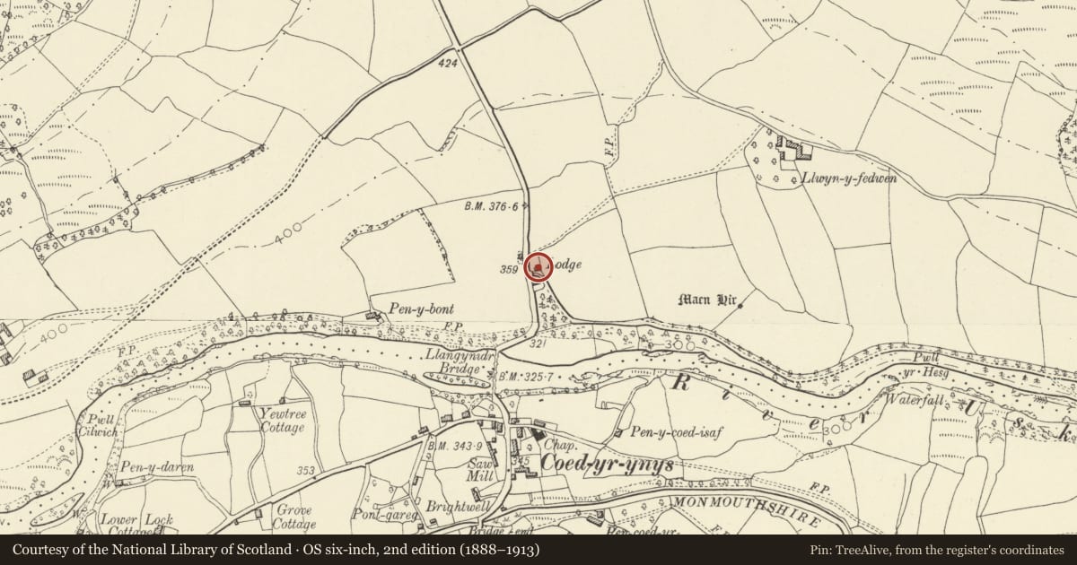 Ordnance Survey six-inch map, 2nd edition (1888–1913) covering the location of Green Drive Lodge, Llanfihangel Cwmdu with Bwlch and Cathedine, Powys, with a pin at the register's coordinates