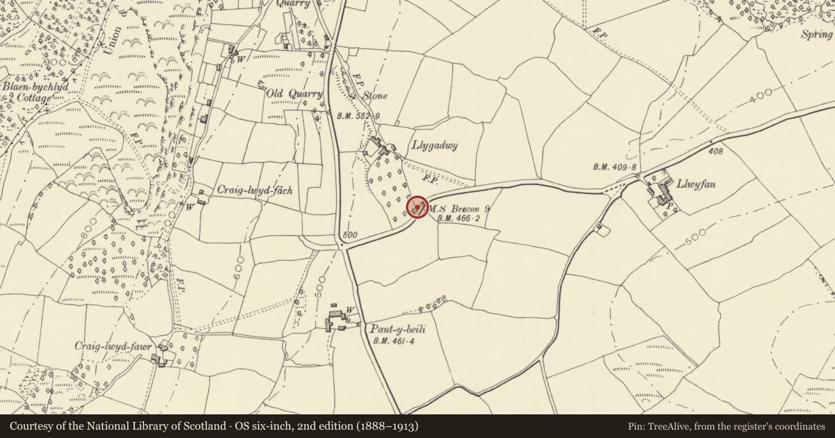Ordnance Survey six-inch map, 2nd edition (1888–1913) covering the location of Milestone near Llygadwy, Llanfihangel Cwmdu with Bwlch and Cathedine, Powys, with a pin at the register's coordinates