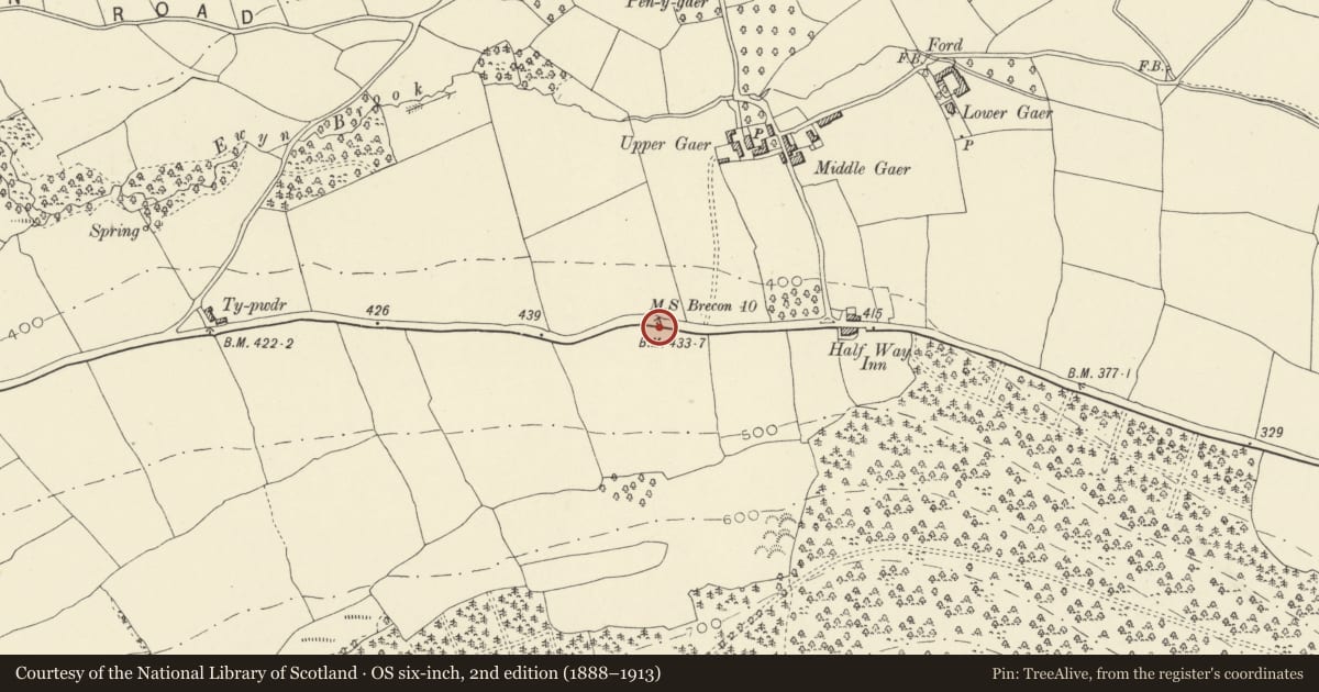 Ordnance Survey six-inch map, 2nd edition (1888–1913) covering the location of Milestone near Kestrel Inn, Llanfihangel Cwmdu with Bwlch and Cathedine, Powys, with a pin at the register's coordinates