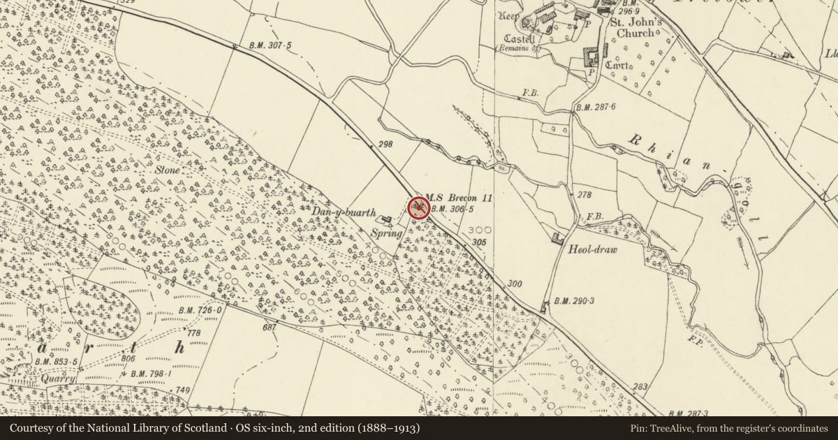Ordnance Survey six-inch map, 2nd edition (1888–1913) covering the location of Milestone near Dan y Myarth, Llanfihangel Cwmdu with Bwlch and Cathedine, Powys, with a pin at the register's coordinates