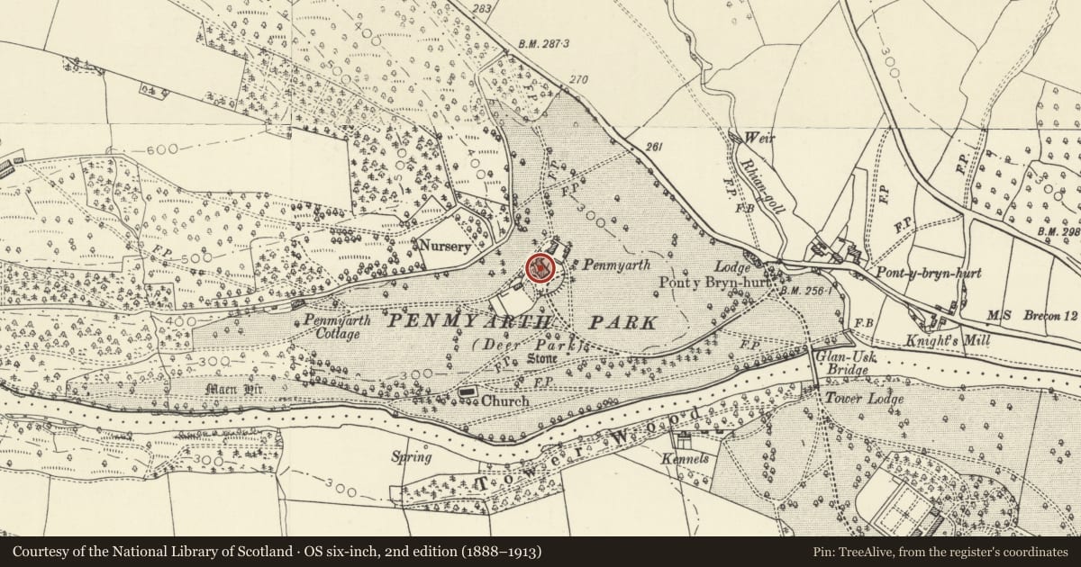 Ordnance Survey six-inch map, 2nd edition (1888–1913) covering the location of Penmyarth, Llanfihangel Cwmdu with Bwlch and Cathedine, Powys, with a pin at the register's coordinates