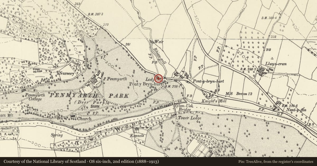 Ordnance Survey six-inch map, 2nd edition (1888–1913) covering the location of North Lodge aka Glanusk Lodge, Llanfihangel Cwmdu with Bwlch and Cathedine, Powys, with a pin at the register's coordinates
