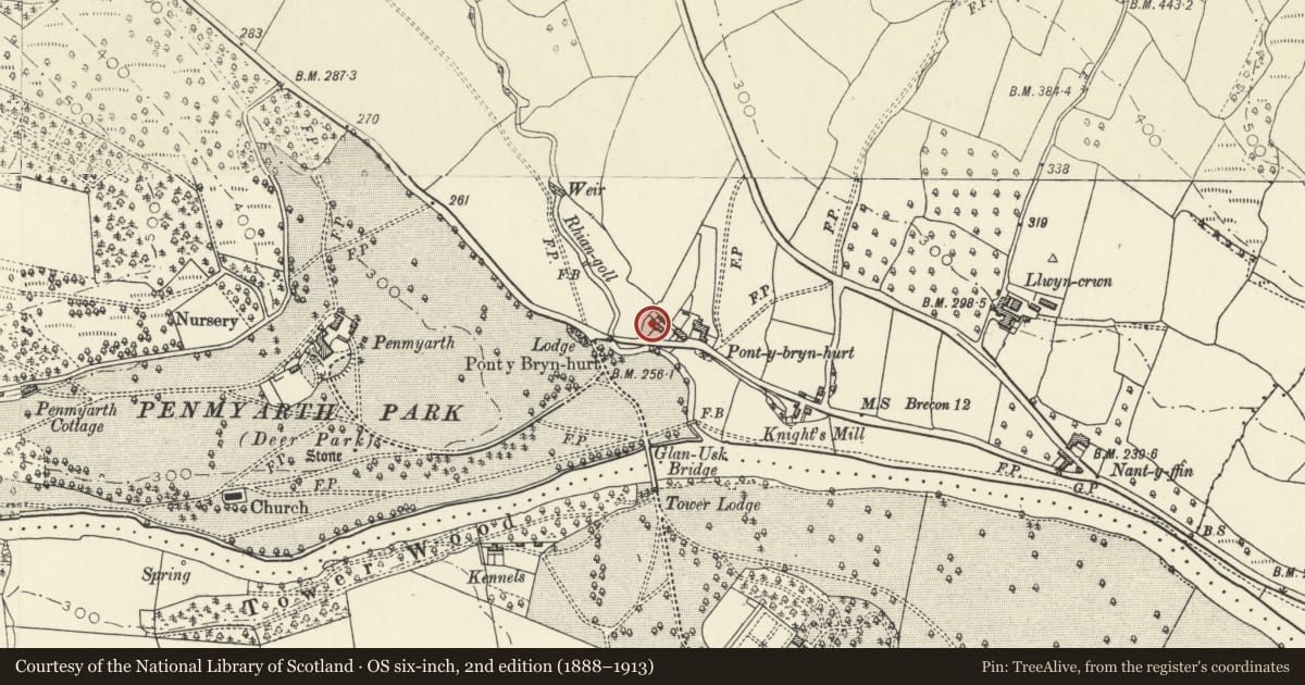 Ordnance Survey six-inch map, 2nd edition (1888–1913) covering the location of 1 Pont-y-bryn-hurt, Llanfihangel Cwmdu with Bwlch and Cathedine, Powys, with a pin at the register's coordinates