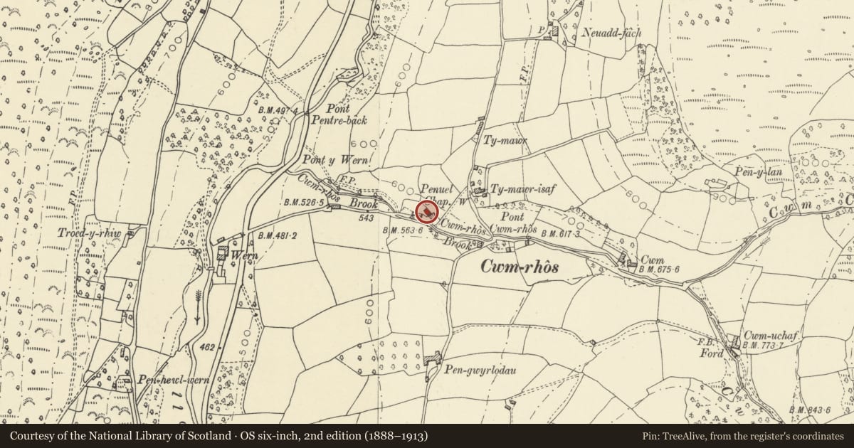 Ordnance Survey six-inch map, 2nd edition (1888–1913) covering the location of Penuel Chapel, Llanfihangel Cwmdu with Bwlch and Cathedine, Powys, with a pin at the register's coordinates