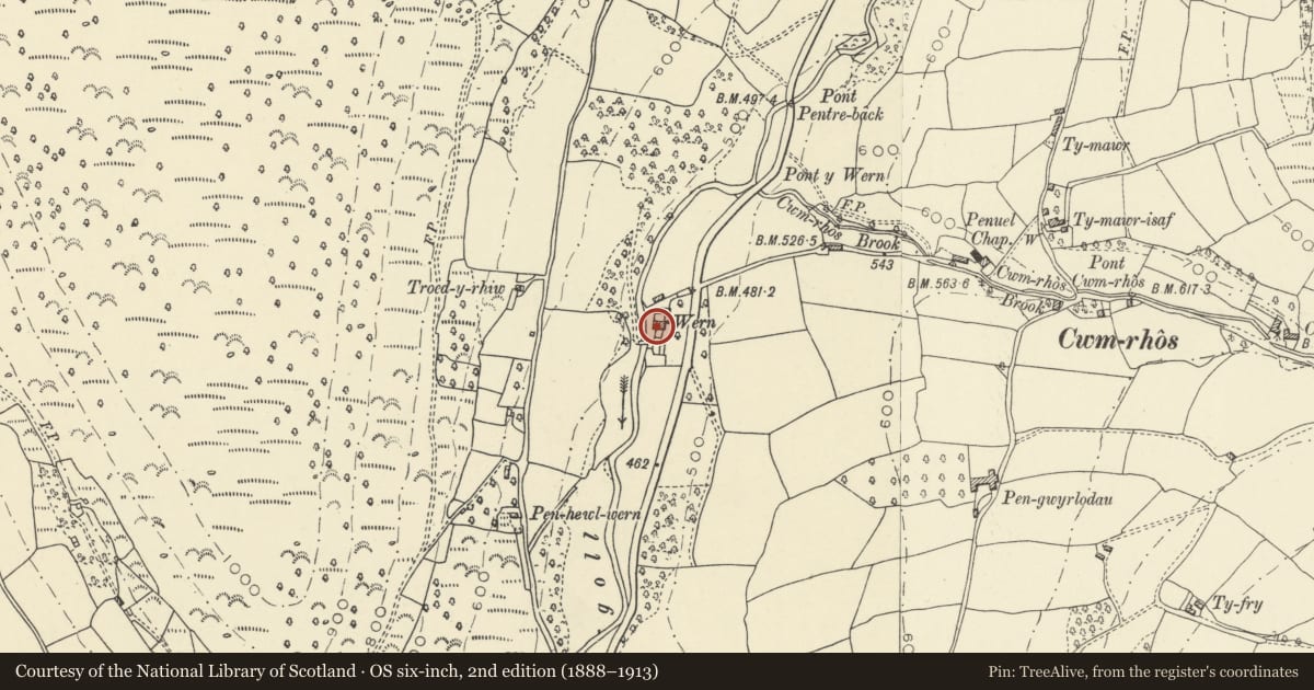 Ordnance Survey six-inch map, 2nd edition (1888–1913) covering the location of The Wern, Llanfihangel Cwmdu with Bwlch and Cathedine, Powys, with a pin at the register's coordinates