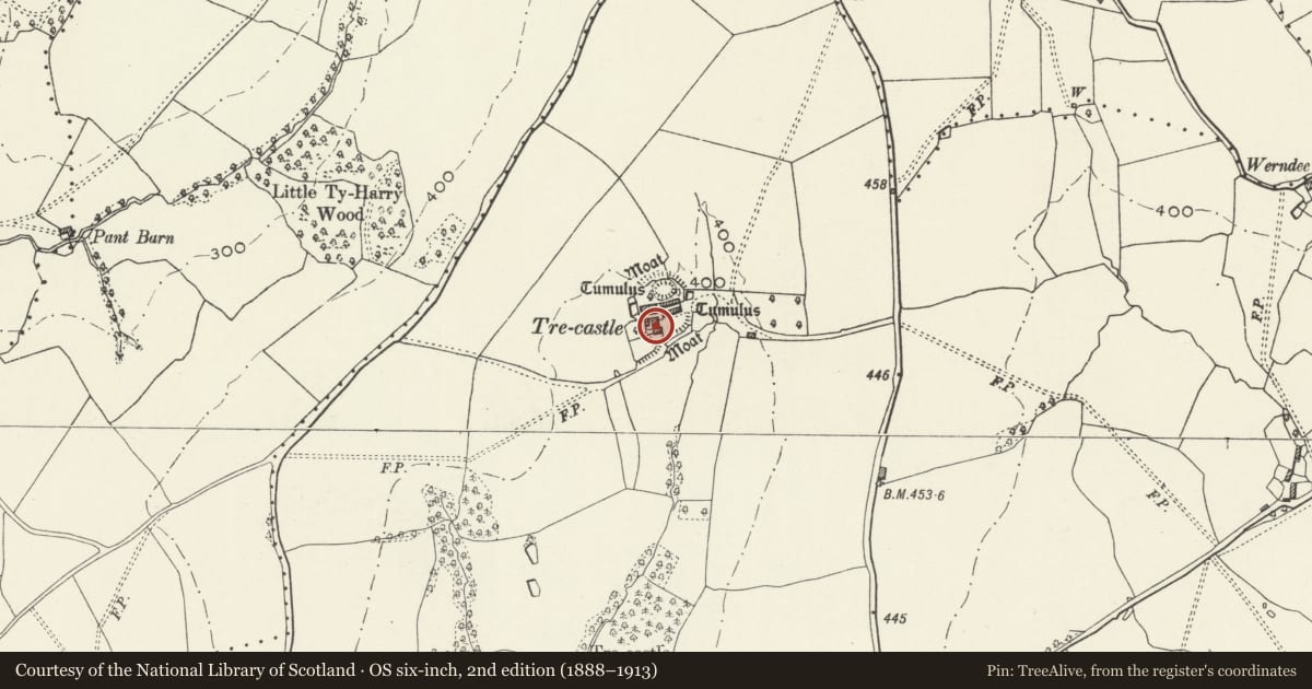 Ordnance Survey six-inch map, 2nd edition (1888–1913) covering the location of Old Trecastle Farmhouse, Mitchel Troy, Monmouthshire, with a pin at the register's coordinates