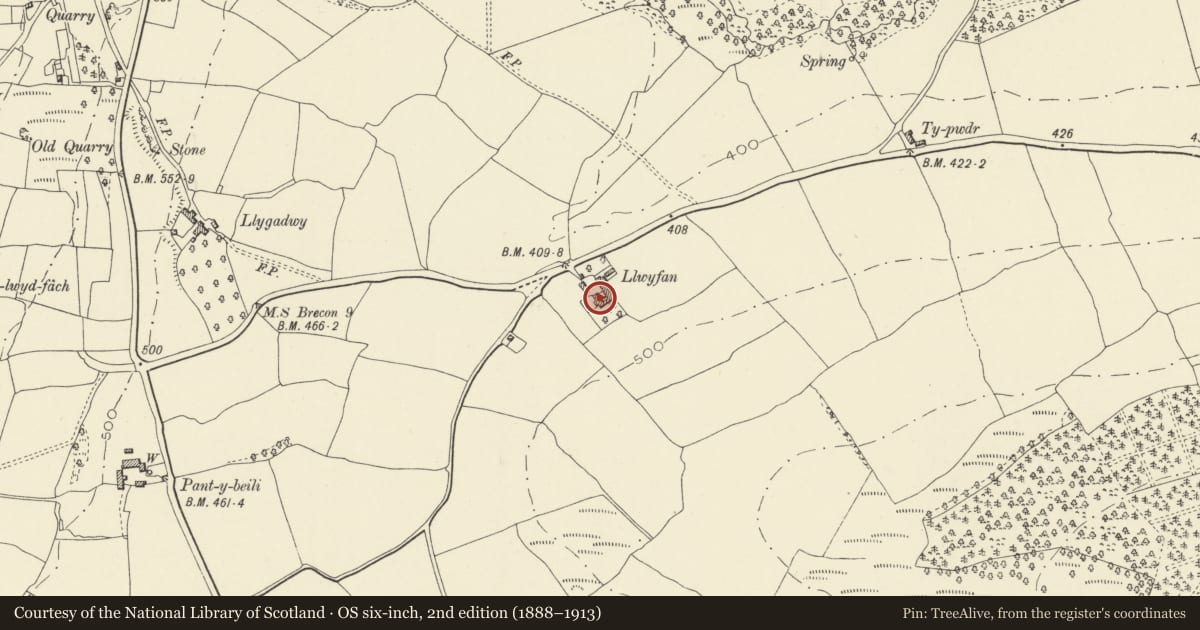 Ordnance Survey six-inch map, 2nd edition (1888–1913) covering the location of Llwyfan, Llanfihangel Cwmdu with Bwlch and Cathedine, Powys, with a pin at the register's coordinates