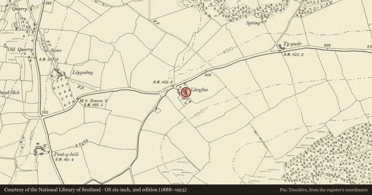 Ordnance Survey six-inch map, 2nd edition (1888–1913) covering the location of Farm Buildings at Llwyfan, Llanfihangel Cwmdu with Bwlch and Cathedine, Powys, with a pin at the register's coordinates