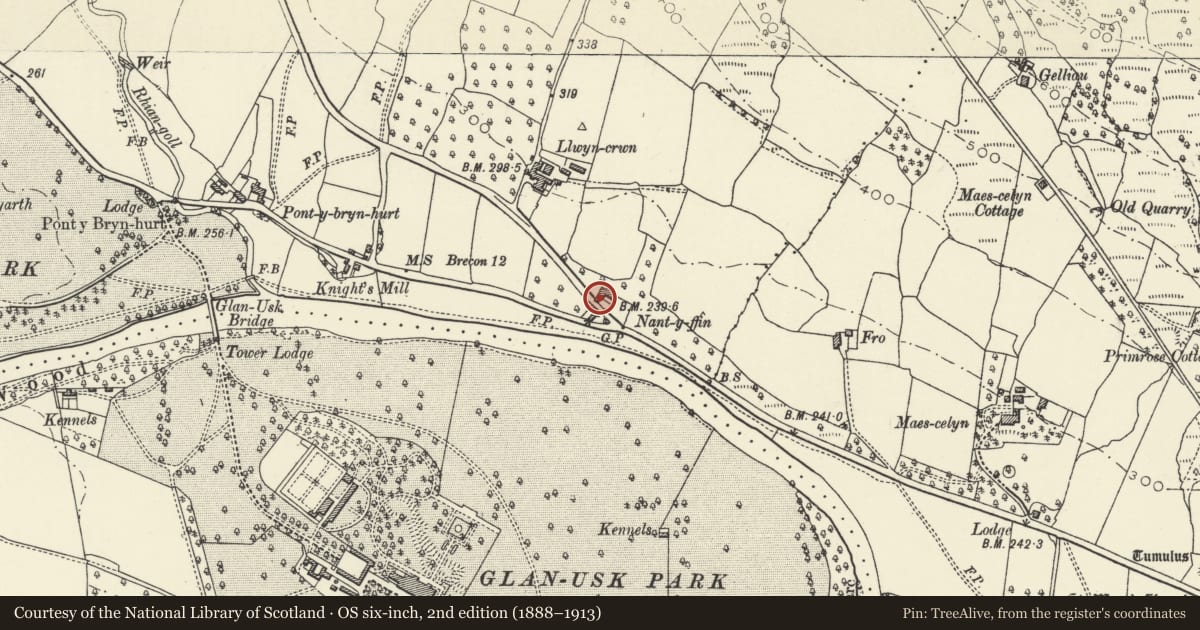 Ordnance Survey six-inch map, 2nd edition (1888–1913) covering the location of Nant y ffin Cider Mill, Llanfihangel Cwmdu with Bwlch and Cathedine, Powys, with a pin at the register's coordinates