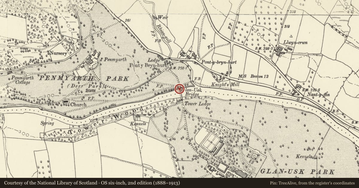 Ordnance Survey six-inch map, 2nd edition (1888–1913) covering the location of Glanusk Bridge (partly in Llangattock community), Llanfihangel Cwmdu with Bwlch and Cathedine, Powys, with a pin at the register's coordinates