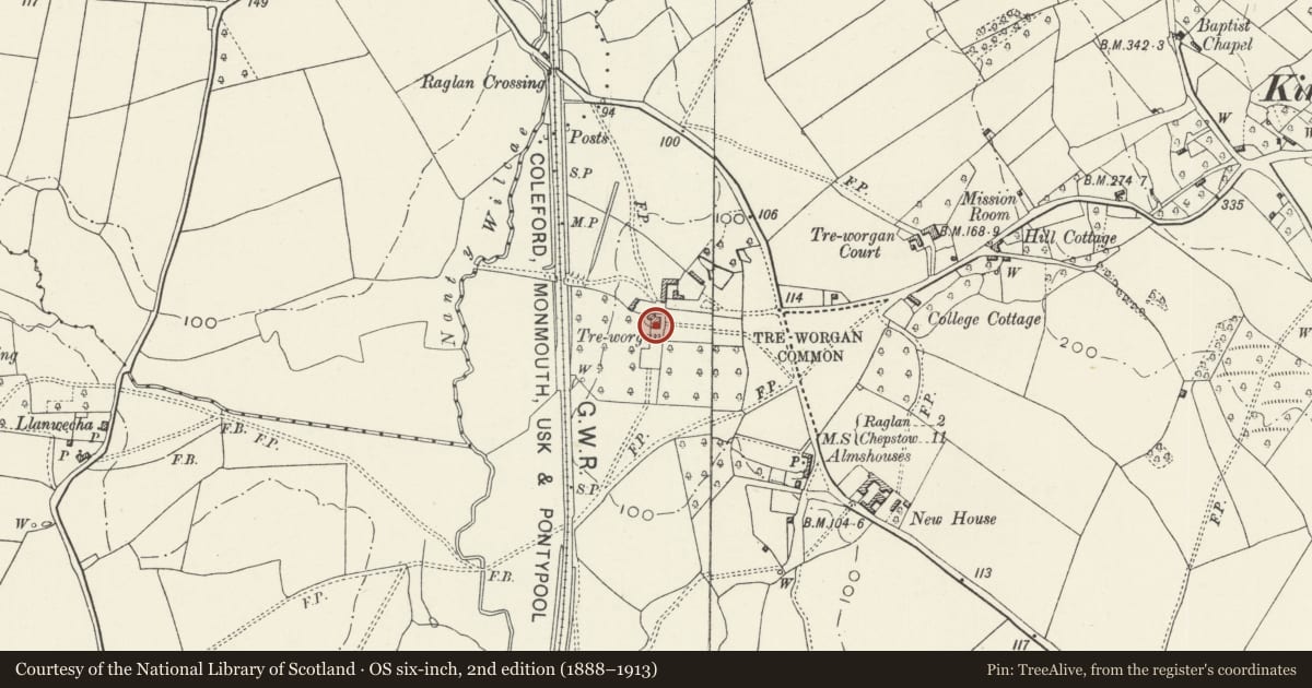 Ordnance Survey six-inch map, 2nd edition (1888–1913) covering the location of Treworgan Manor, Raglan, Monmouthshire, with a pin at the register's coordinates